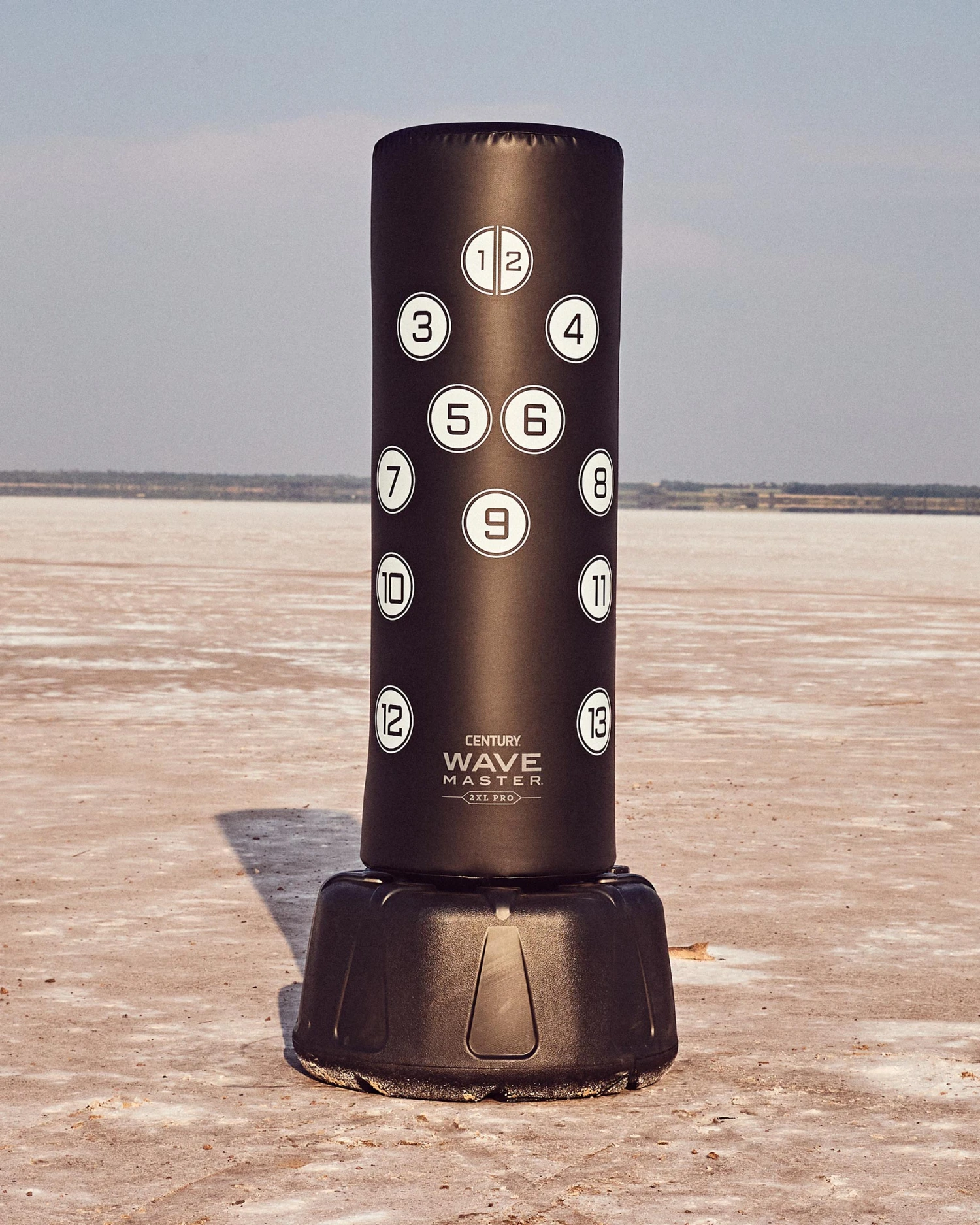 Century Wavemaster 2XL Pro With Zones 6 Century Wavemaster 2XL Pro With Zones - Image 4