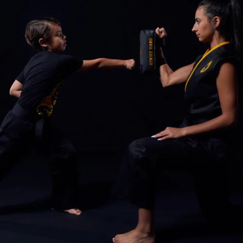 Century Cobra Kai Hand Target 21 Century Cobra Kai Hand Target -Century Sport Shop 10222 23