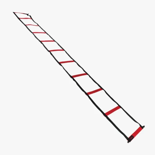 Century Agility Ladder