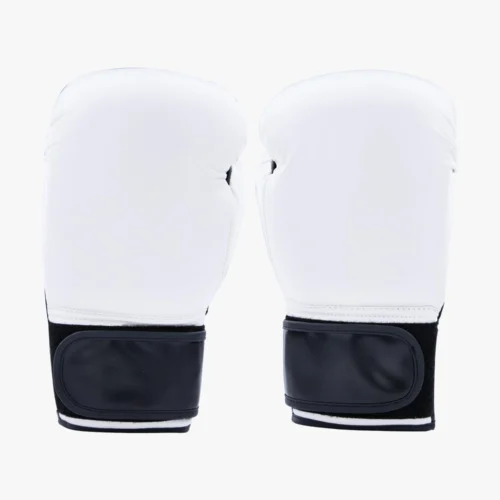 Century Solid Boxing Glove -Century Sport Shop 141032 100 14