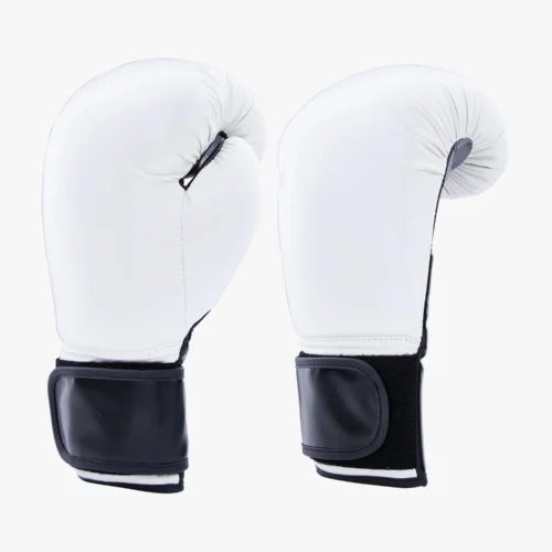 Century Solid Boxing Glove -Century Sport Shop 141032 100 2